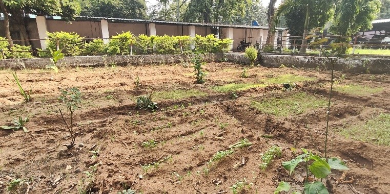 Herbal Garden